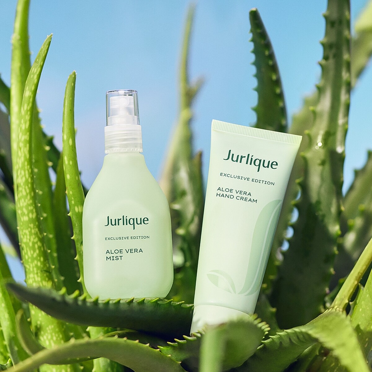 Jurlique茱莉蔻2023仲夏限定蘆薈活膚露&護手霜沐光森林限量版。