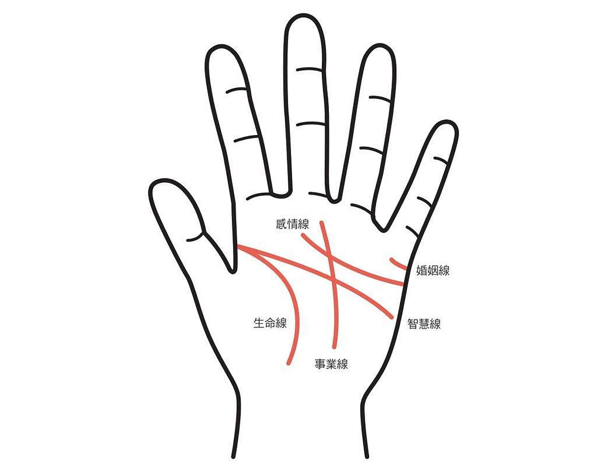 手相基本5條線