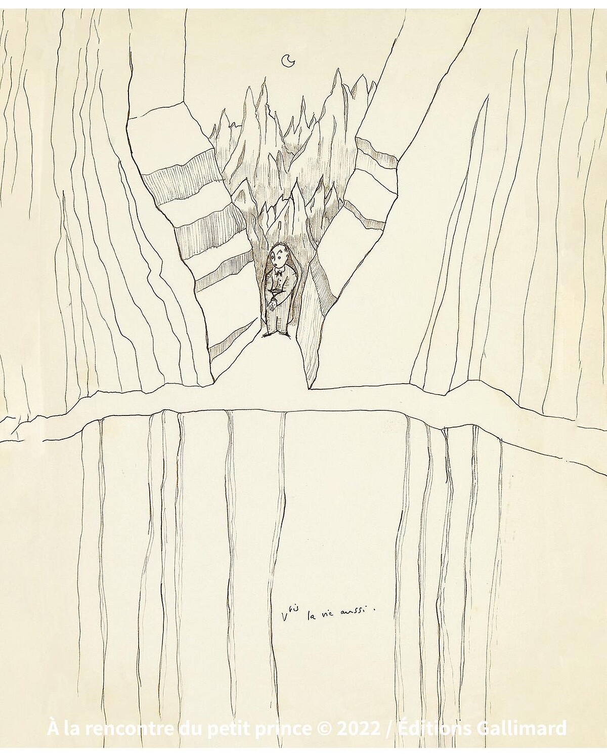 V-bis 也是生命。大塊文化提供。