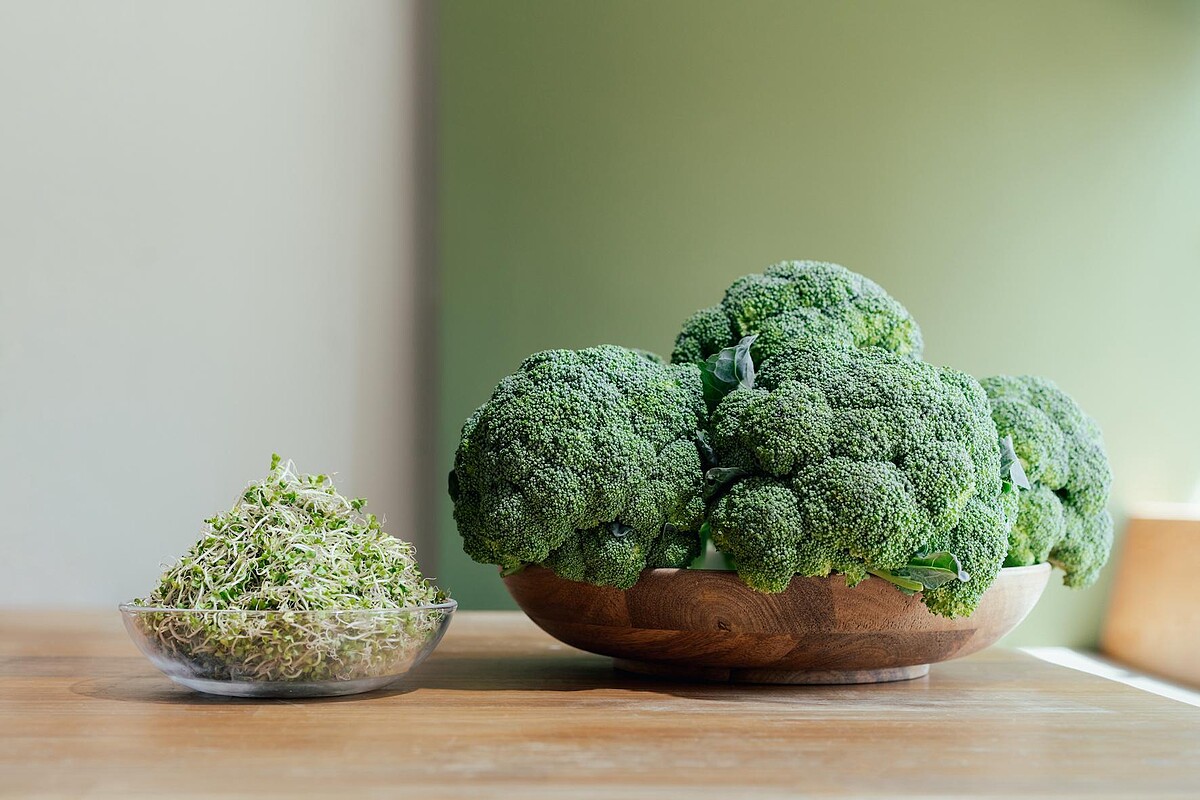 Photo/一寸鮮：發芽三天大的青花椰苗，是蘿蔔硫素最多最理想的蔬菜，含有長效抗氧化效果，提供保養肌膚最重要維生素