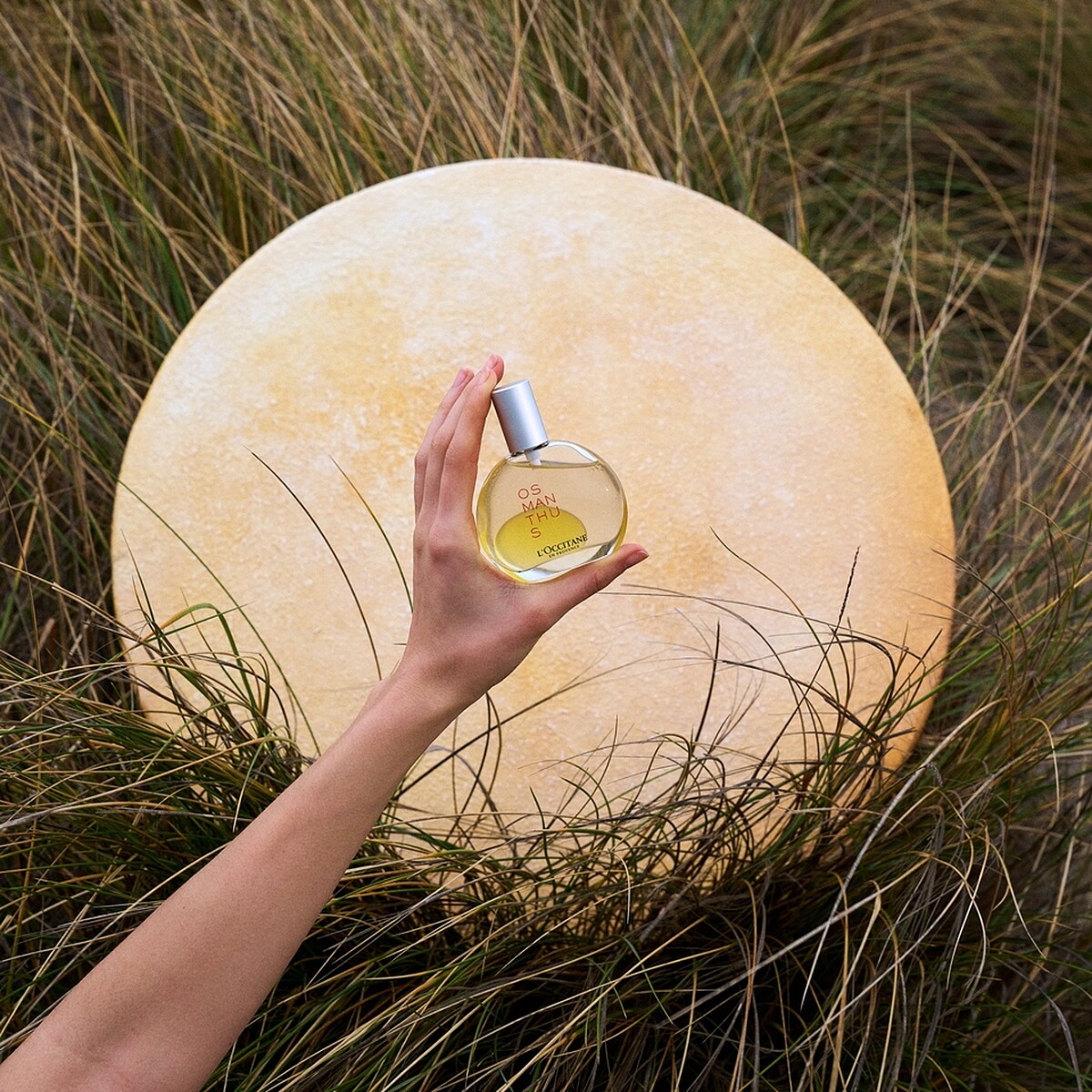 L'OCCITANE歐舒丹桂花精油香水情境照。