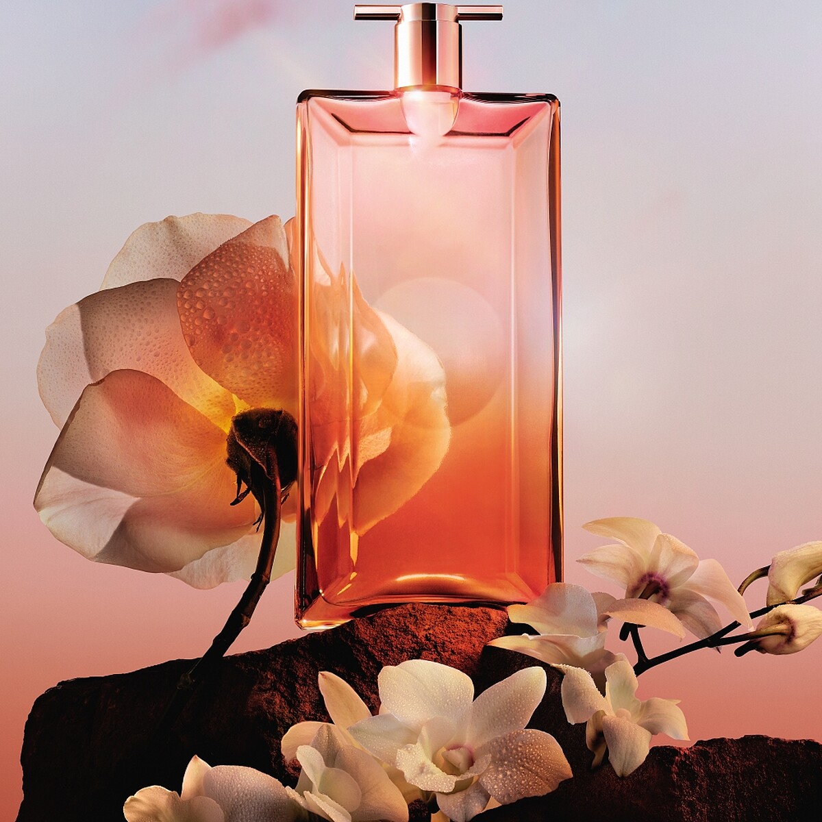 蘭蔻IDÔLE唯我香水玫瑰花香情境圖。