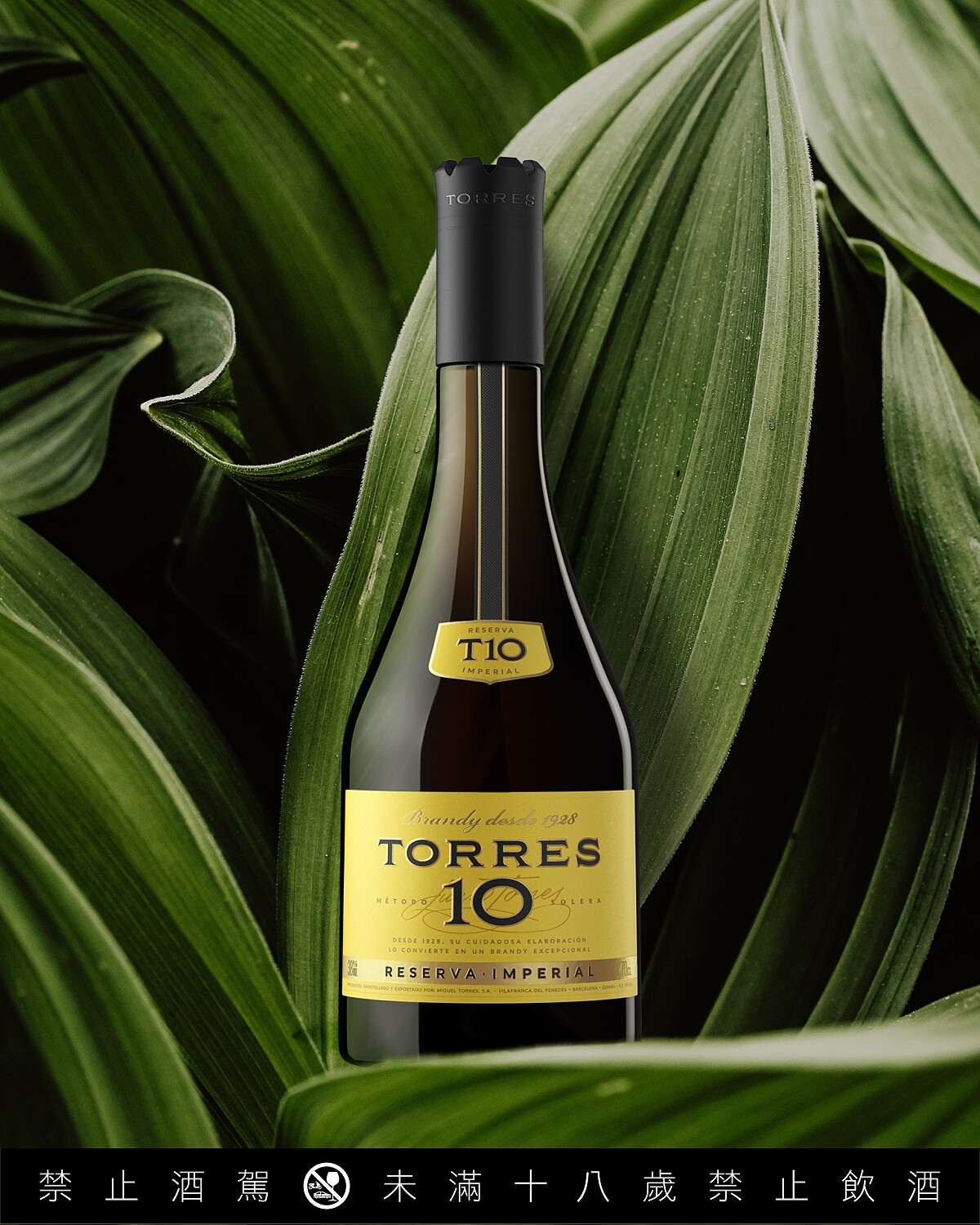 多利士10年白蘭地，使用西班牙加泰隆尼亞原生品種帕雷亞達（Parellada）、沙雷洛（Xarel lo）、馬卡貝歐（Macabeo）三款葡萄釀製。