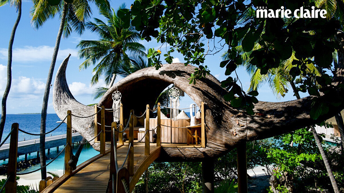 馬爾地夫度假村JOALI Maldives「樹屋」以鬼蝠魟造型為靈感