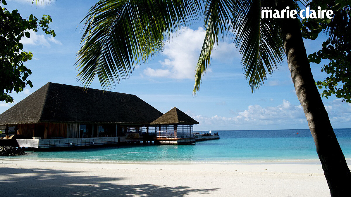 處處椰林交織出愜意渡假風情