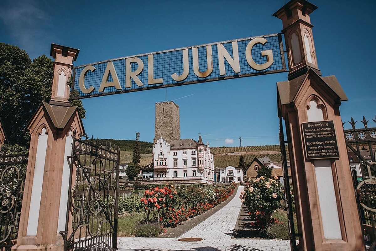 來自德國的 CARL JUNG「脫醇（無酒精）葡萄酒」。