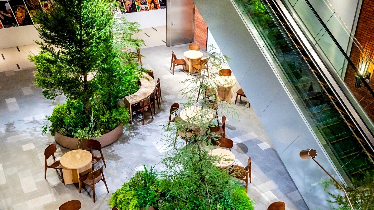 店內各處都有綠意植栽