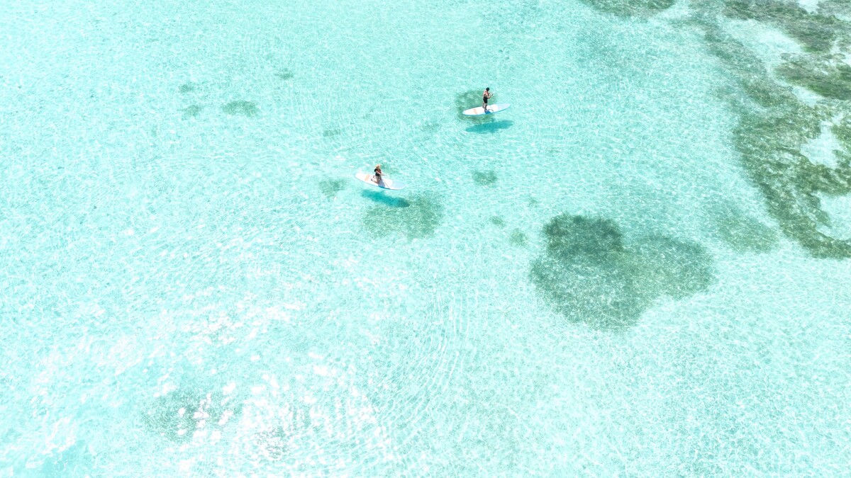 (圖片來源：hi__cindy @IG)