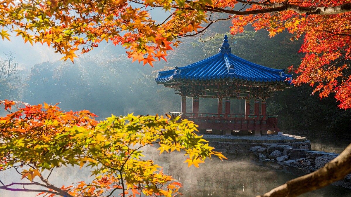 Photo／Getty Images