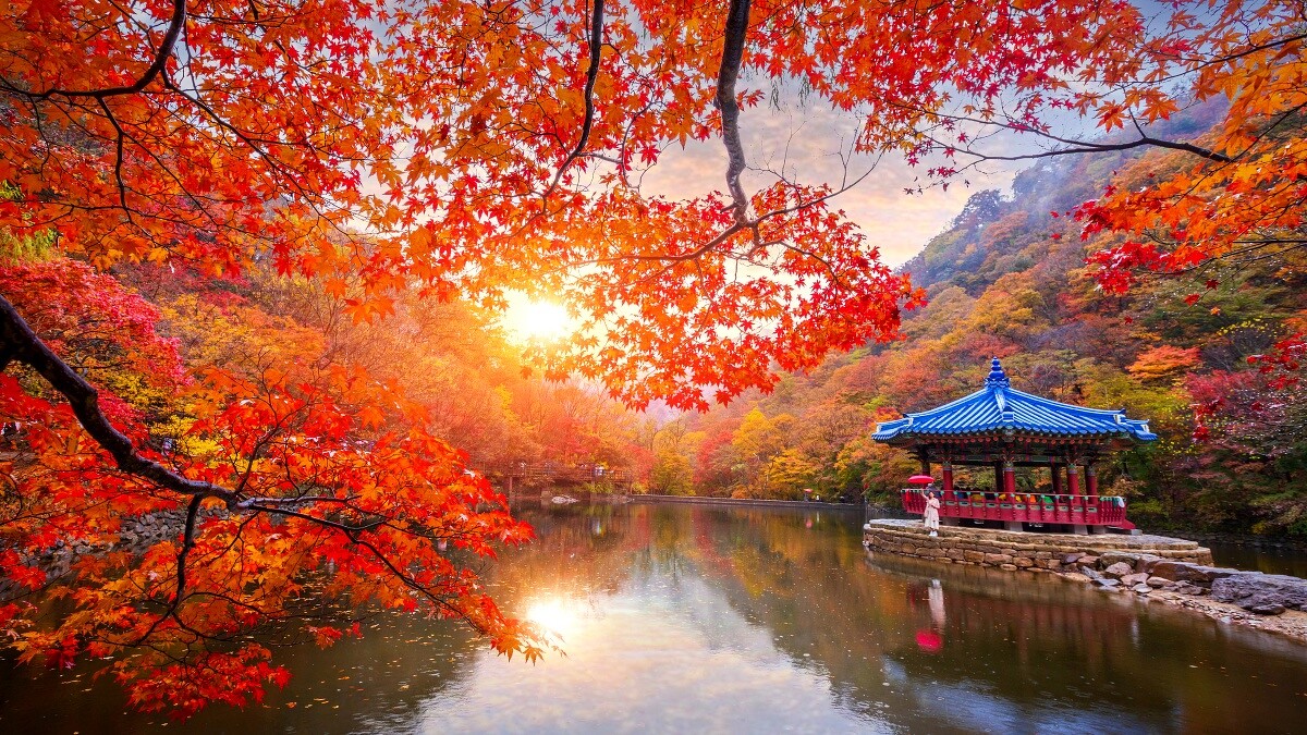 Photo／Getty Images