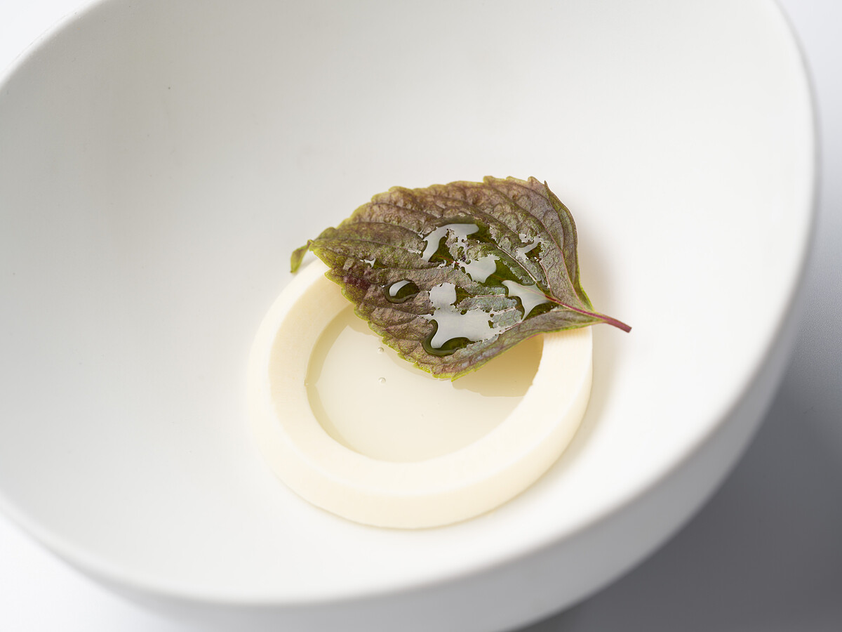 Molino de Urdániz渥達尼斯磨坊_青塘