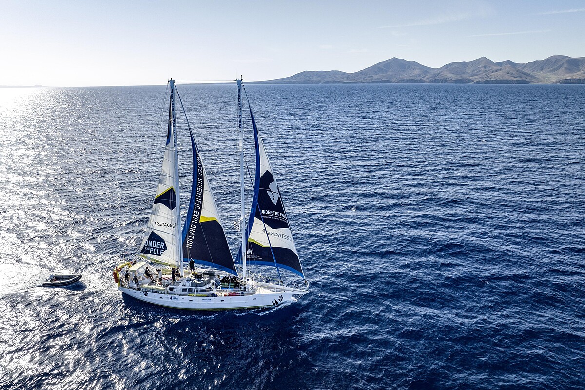 「極地之下」項目由吉斯蘭．巴杜（Ghislain Bardout）與艾曼妞．佩里-巴杜（Emmanuelle P&eacute;ri&eacute;-Bardout）共同創立，現於加那利群島啟動第二次「深海生物」考察活動。該科研考察團隊旨在增進關於中光層（Mesophotic Zone，水底30至200米）水域「海洋動物森林」的科學知識。「海洋動物森林」是指珊瑚、海綿等固著動物群落組成的三維結構。&copy; Under The Pole／Franck Gazzola