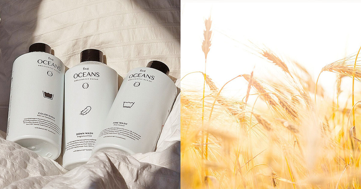 Five Oceans 衣物洗衣精系列 