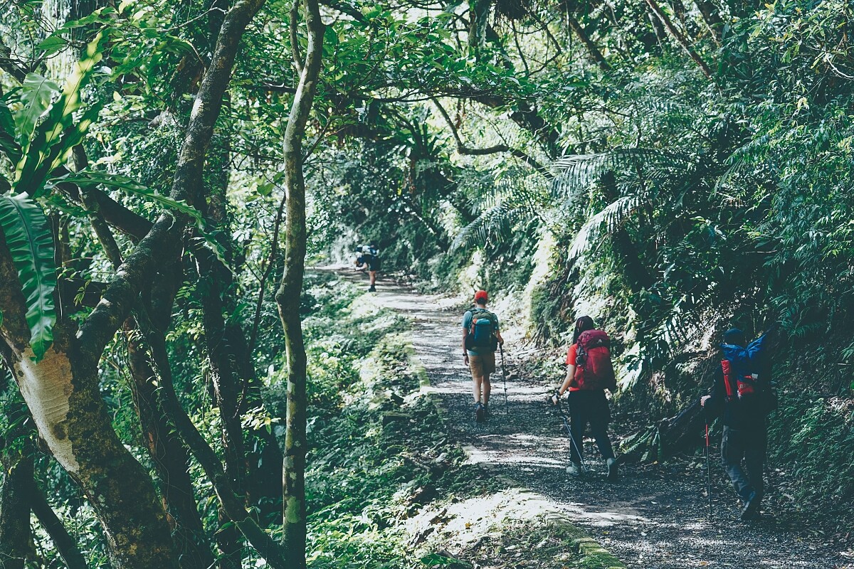 城市再造展區匯集新北市11大類設計導入城市治理的改造亮點。