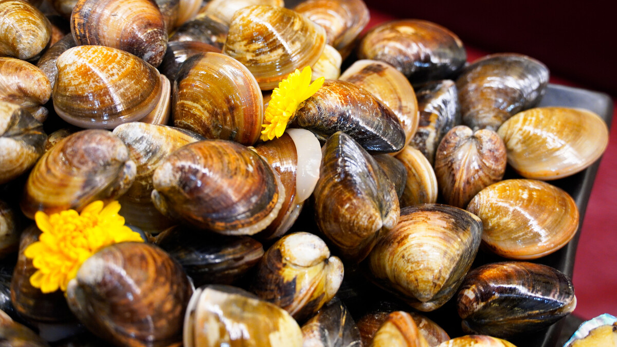 馬辣頂級麻辣鴛鴦火鍋。