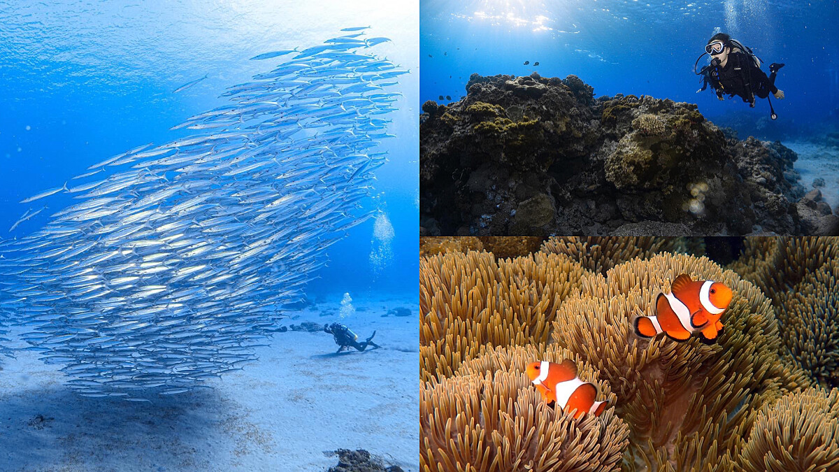 【玩咖初體驗】水肺潛水新手攻略!考證照要花多少錢、不會游泳也可以學嗎?7個QA替你解惑