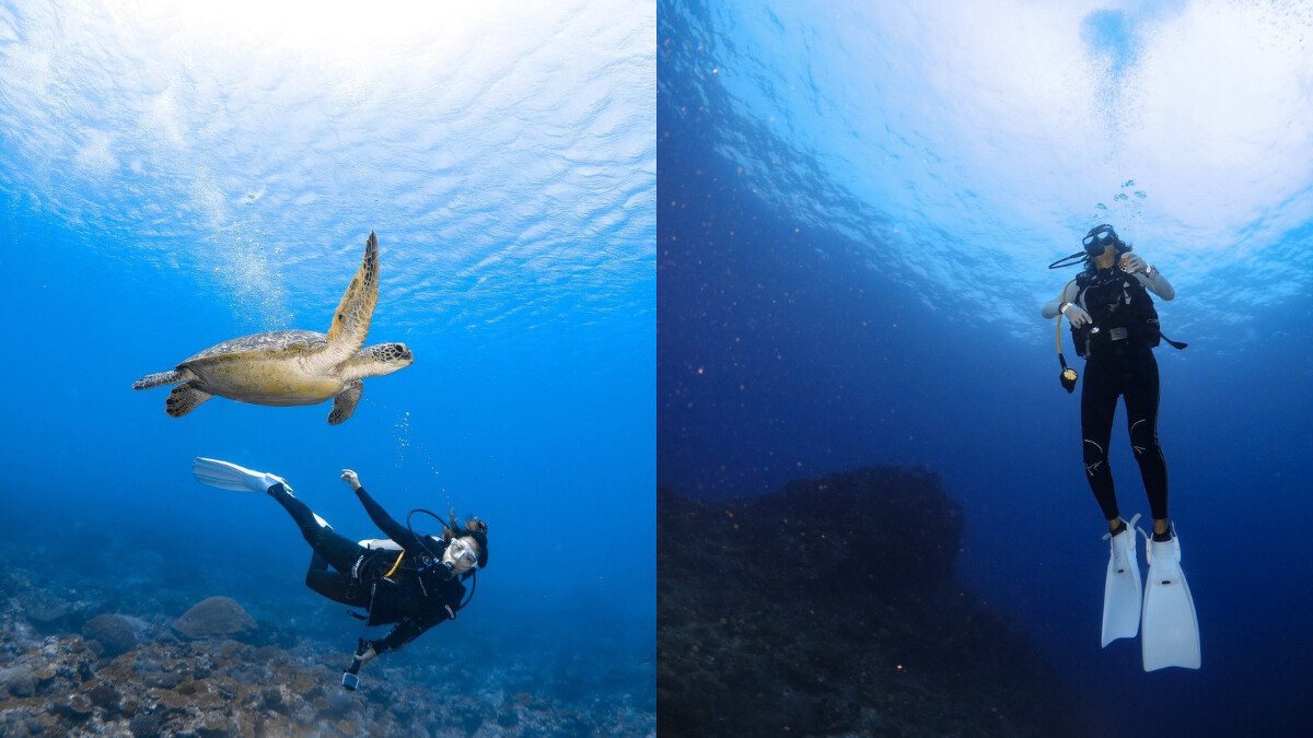 ＠zouzou_greenisland