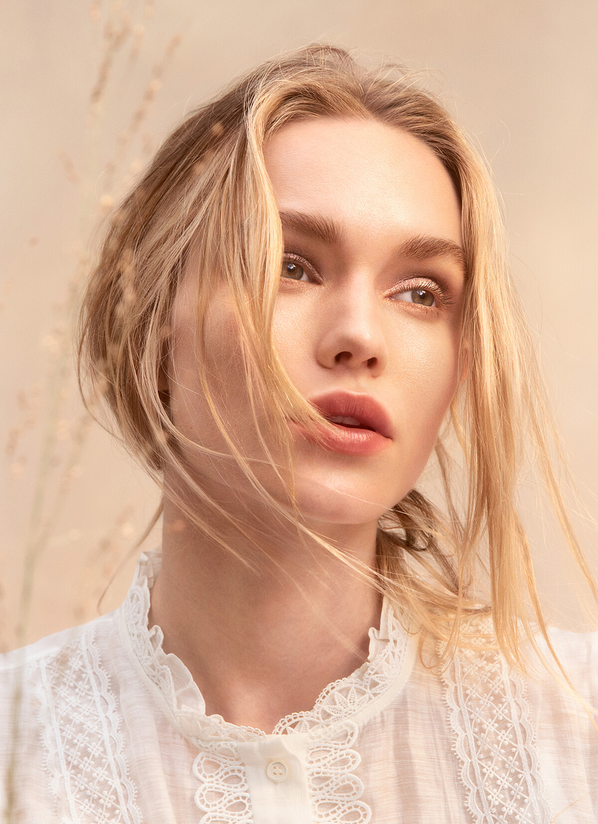 圖/香緹卡 2023奔騰野馬系列 視覺