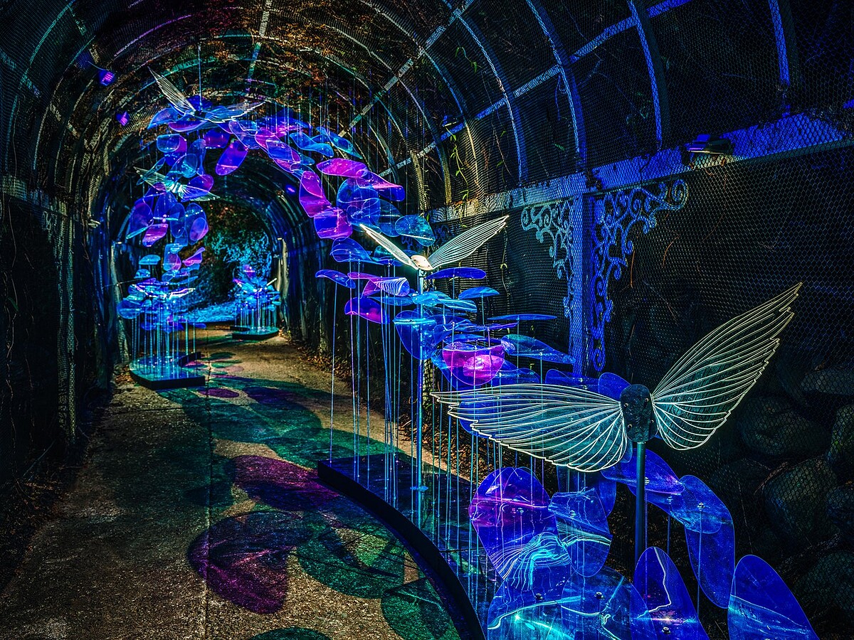 凡京設計《飛於波光和大地之間》