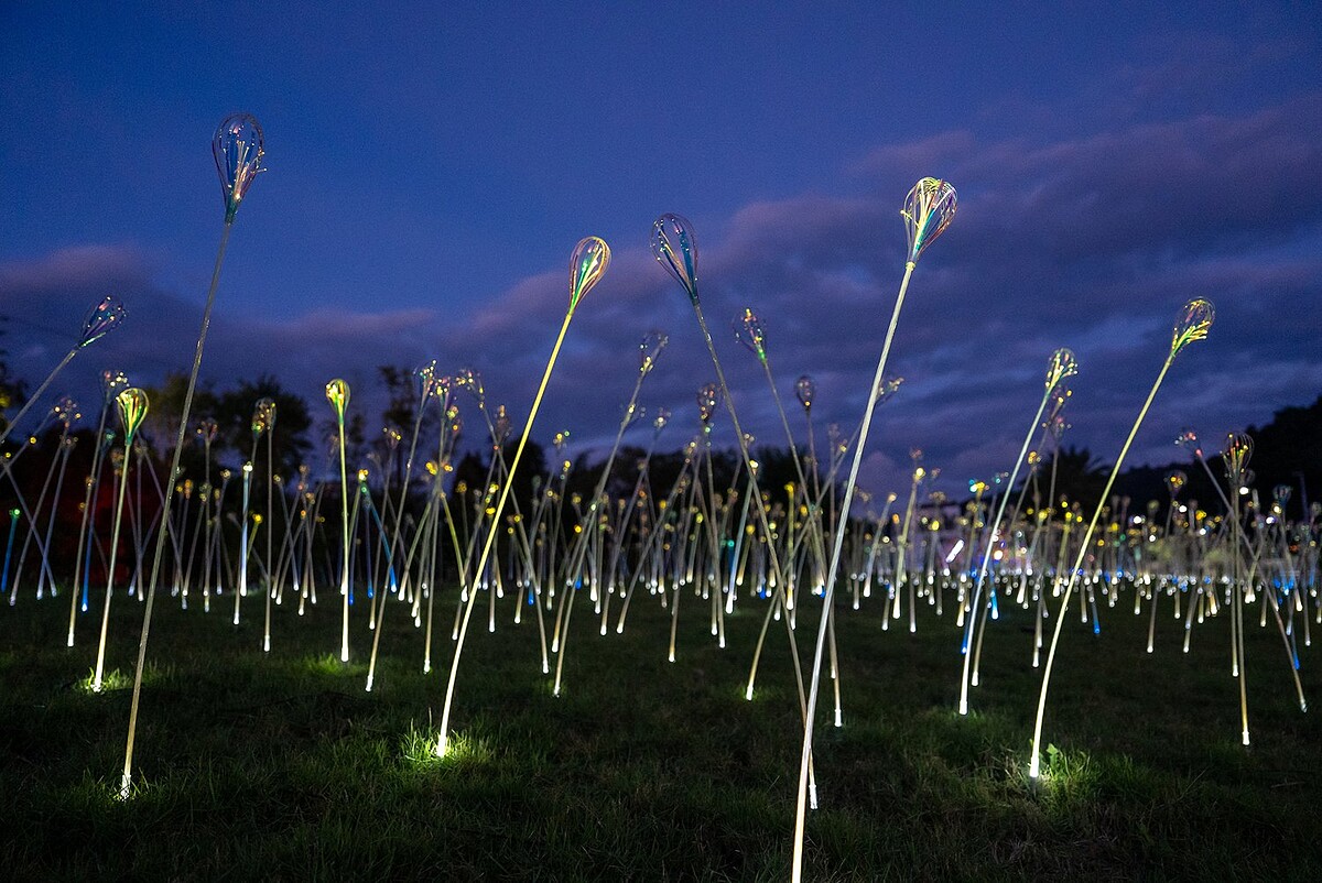 蔡宜婷《植光．花》