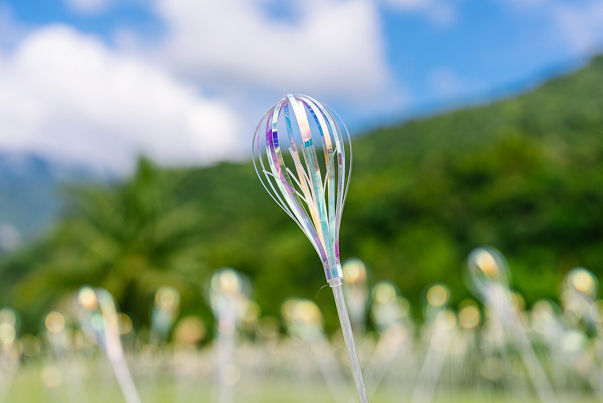 蔡宜婷《植光．花》