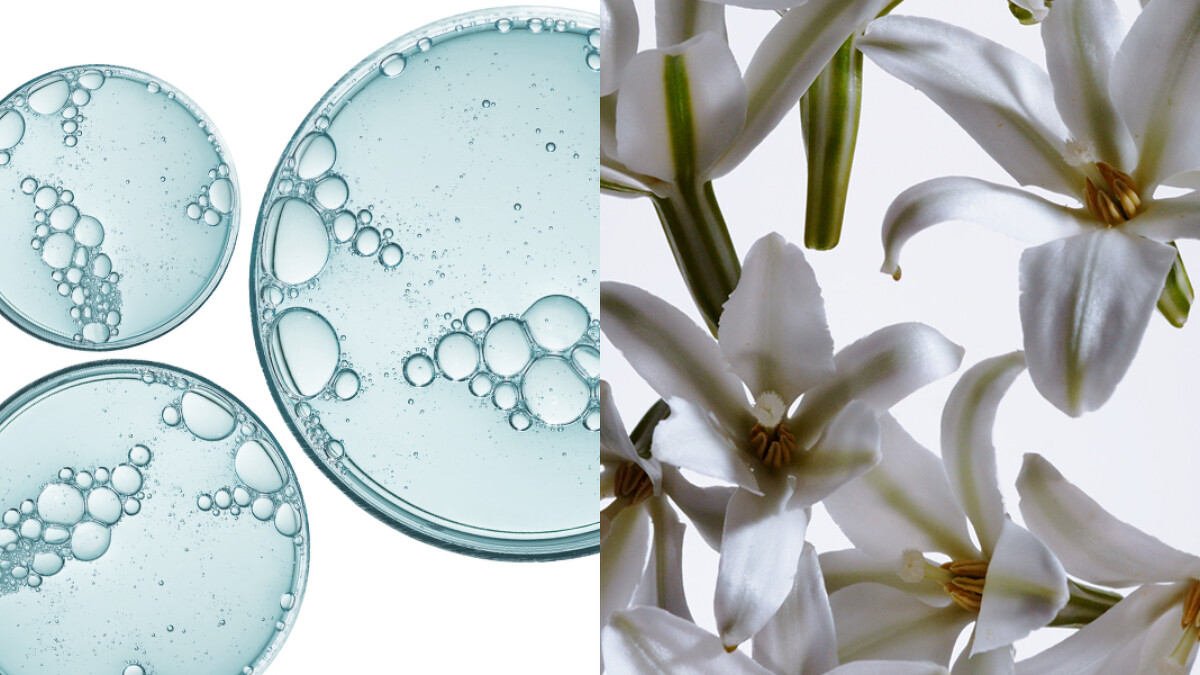 （左圖）消浮腫四胜肽、（右圖）淨白花卉萃取