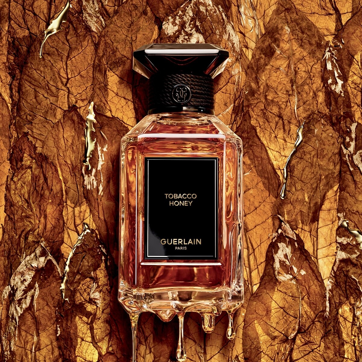 嬌蘭藝術沙龍琥珀菸草淡香精主視覺。