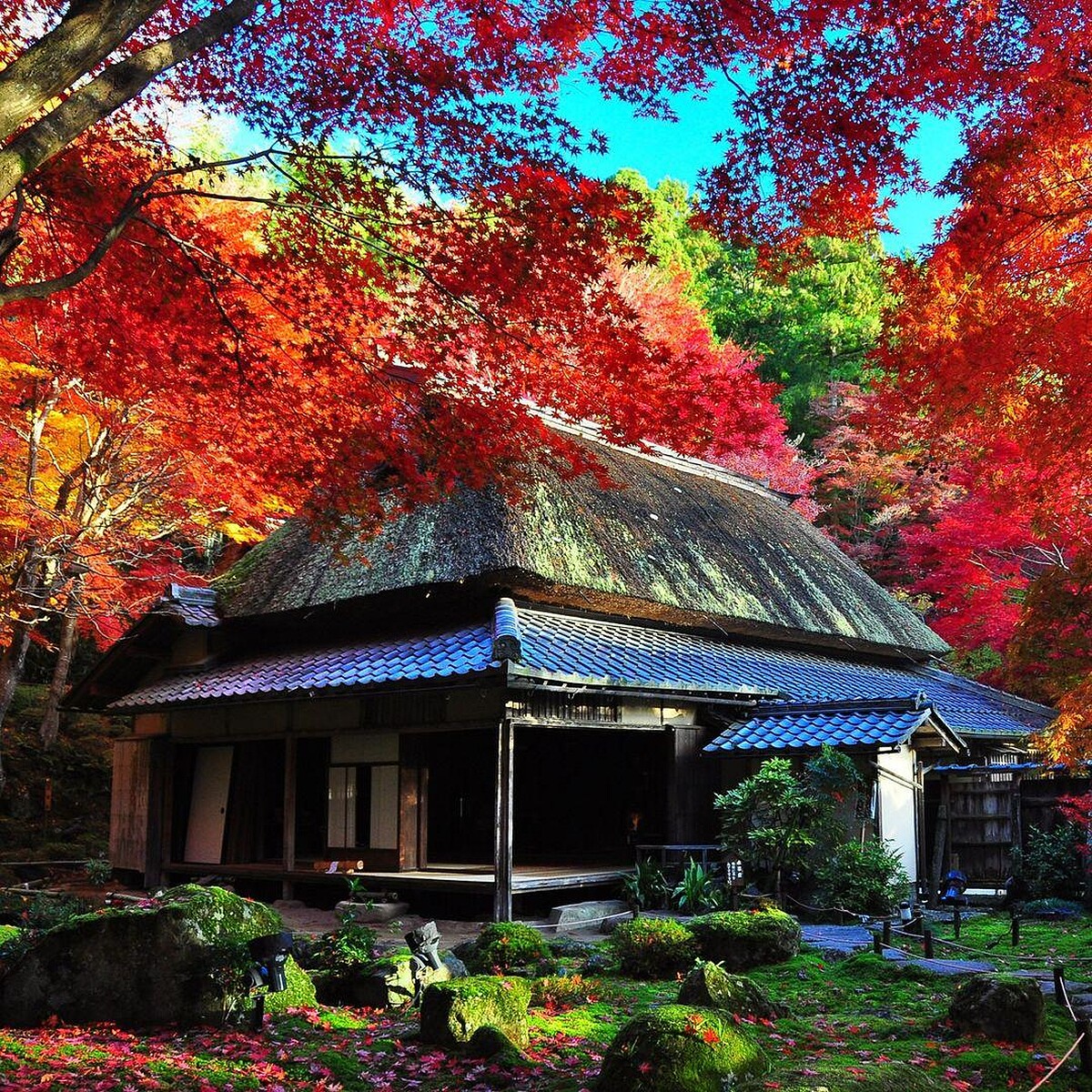 知名的教林坊庭園，是最佳賞楓景點。