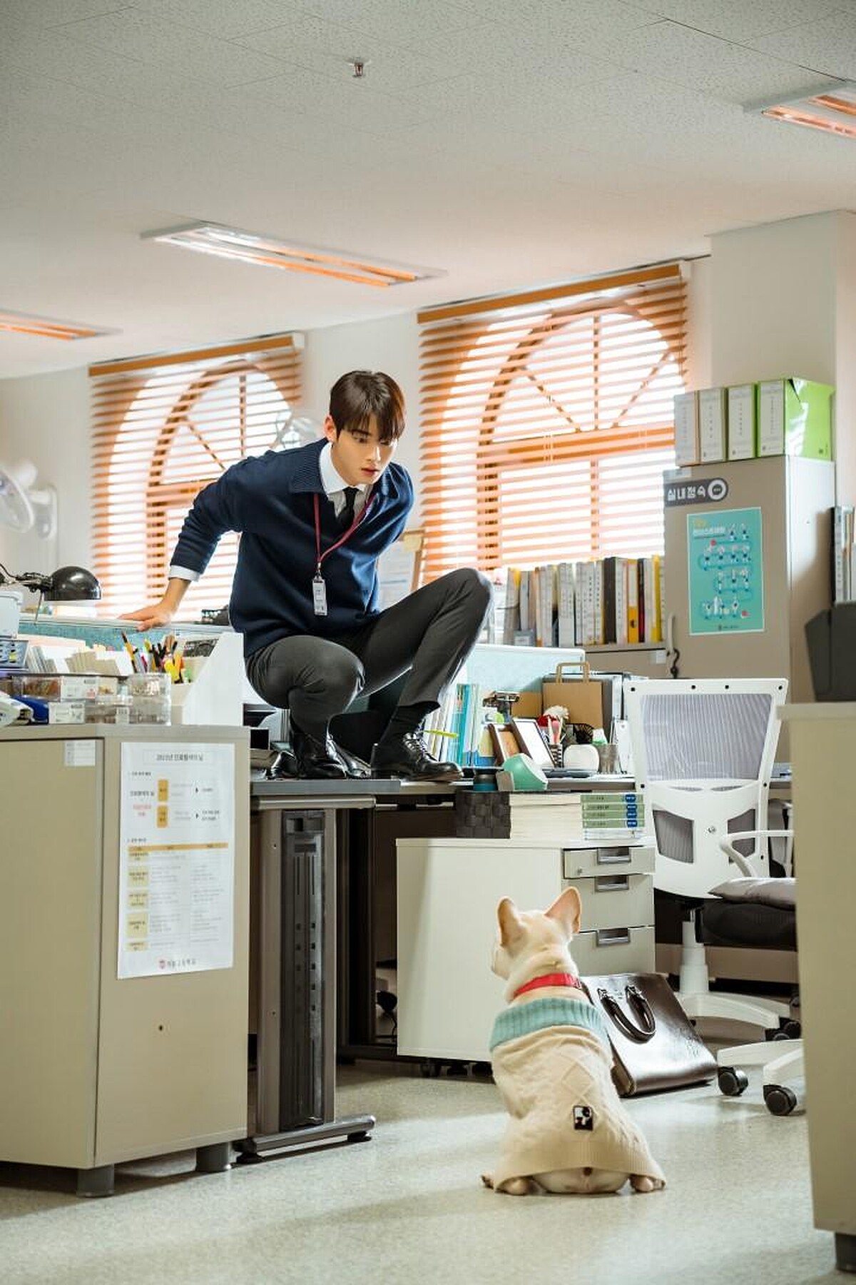 書元被小狗嚇到跳上辦公桌，反差萌讓角色加分