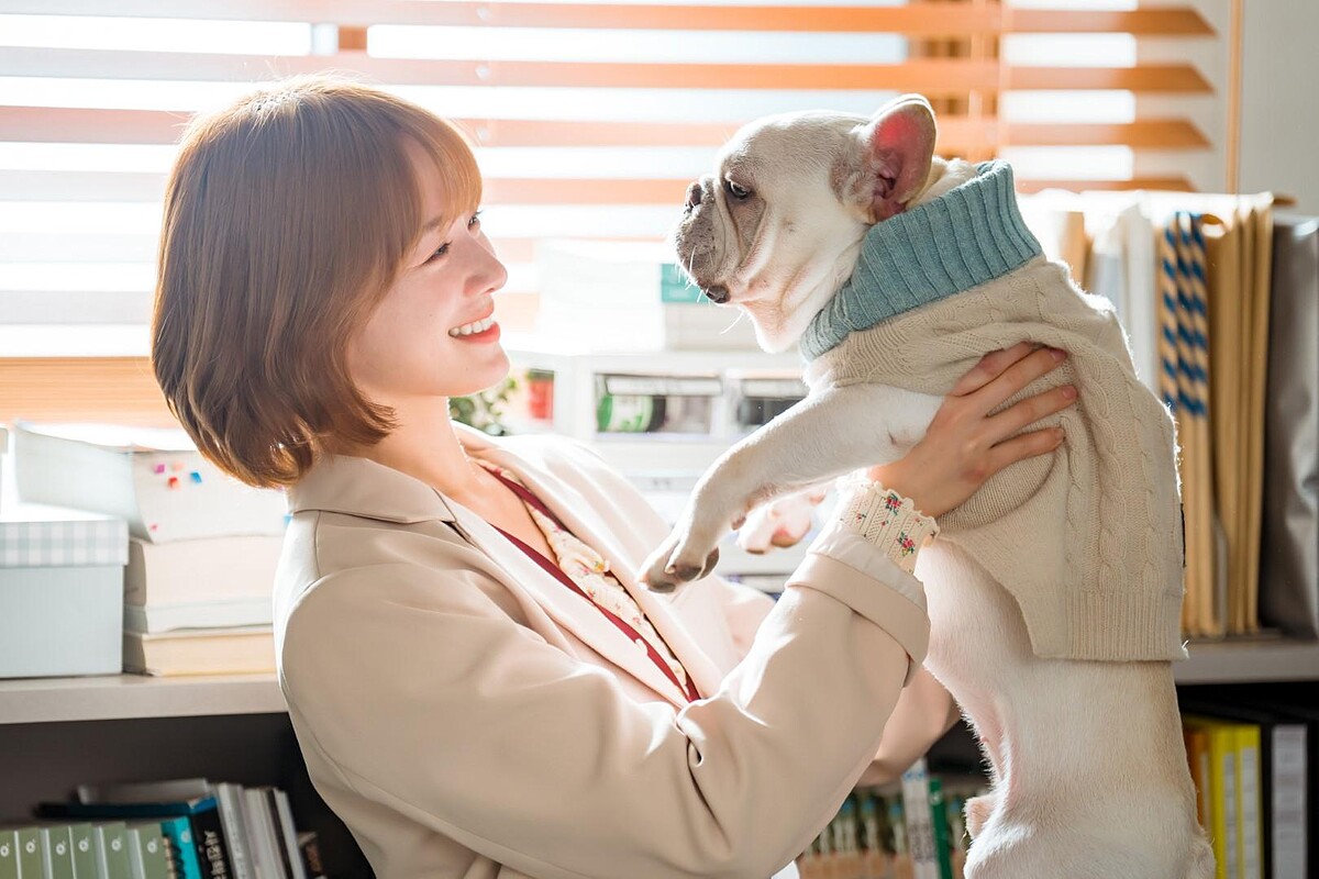 所有的狗狗都愛海娜，會主動黏上她