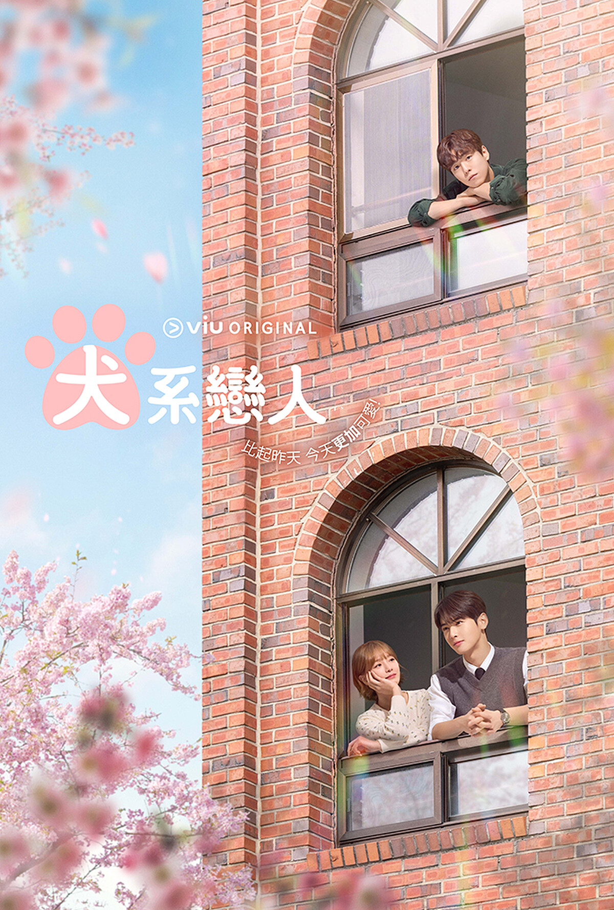 《犬系戀人》三角關係如何發展令人好奇