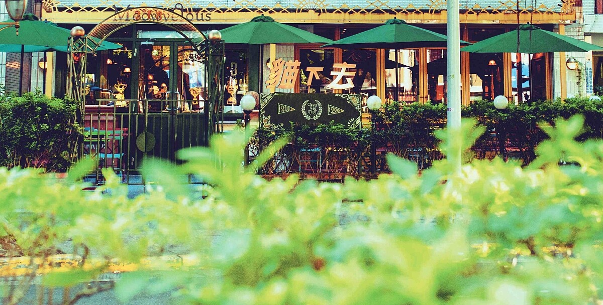 位於敦化民生路口的「貓下去敦北俱樂部」。