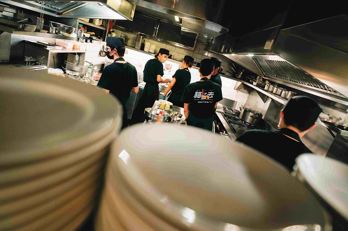 台北就像是個文化大熔爐，促使貓下去的誕生。