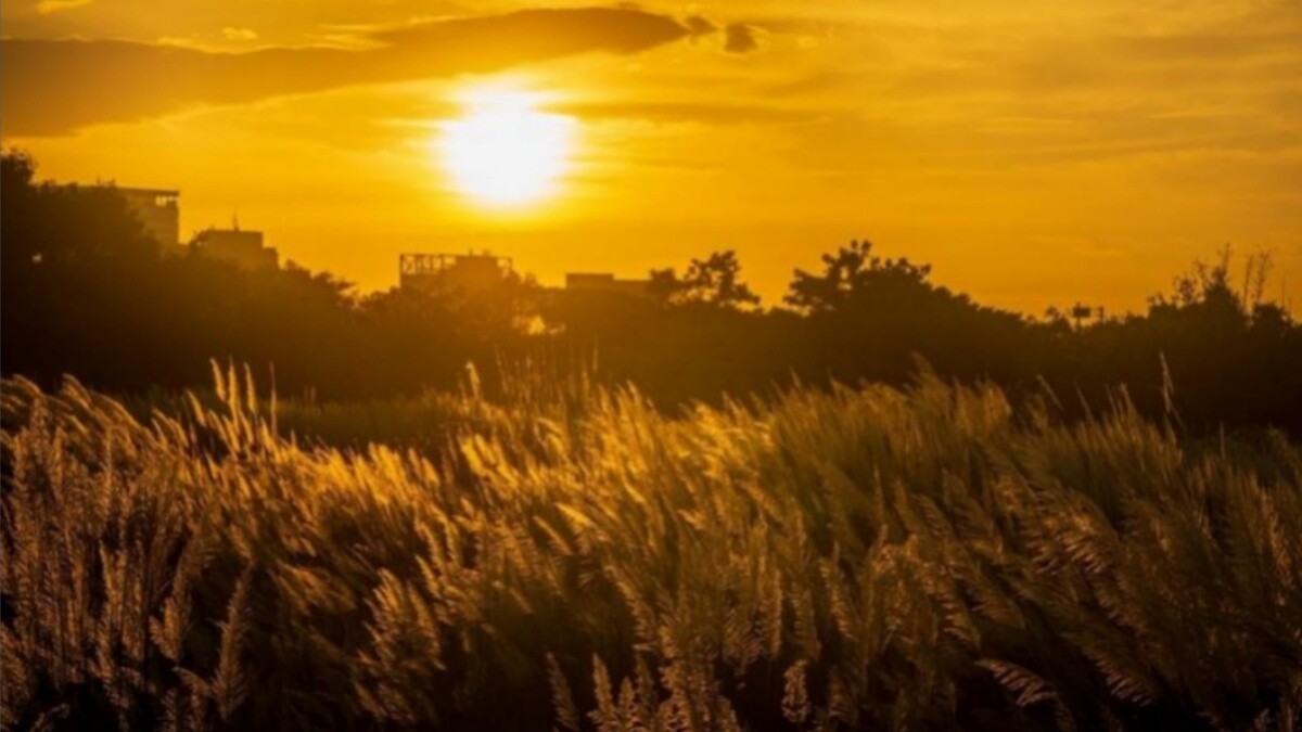 Photo/IG@h.y.c.0302授權提供