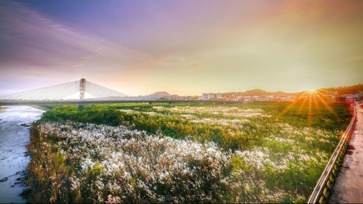 Photo/IG@lolos_o753授權提供