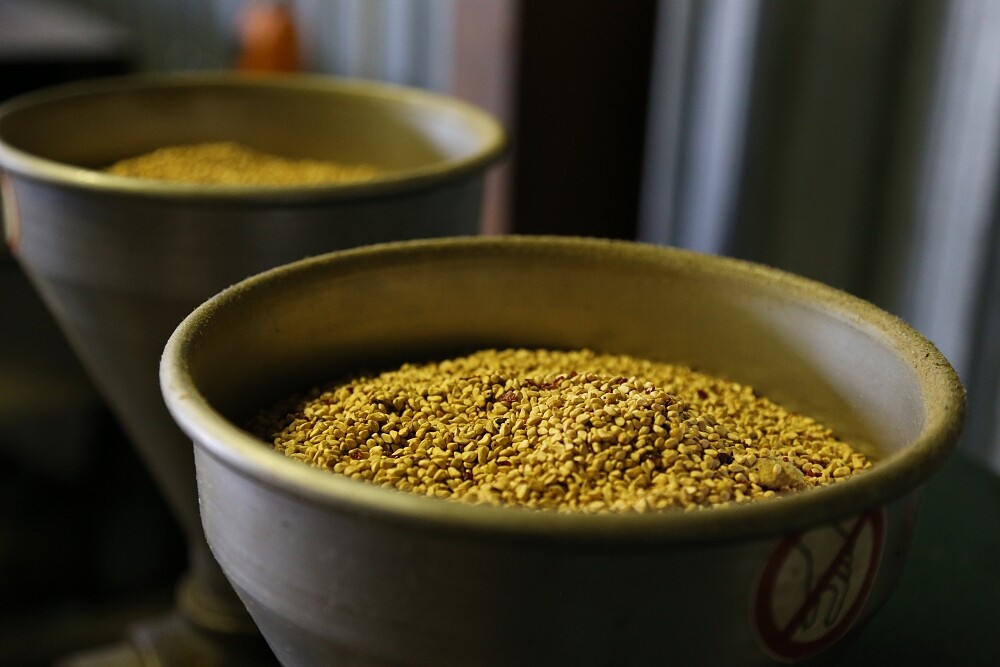 Trilogy以冷壓萃取100％純正玫瑰果油，精粹出金黃色營養精華。