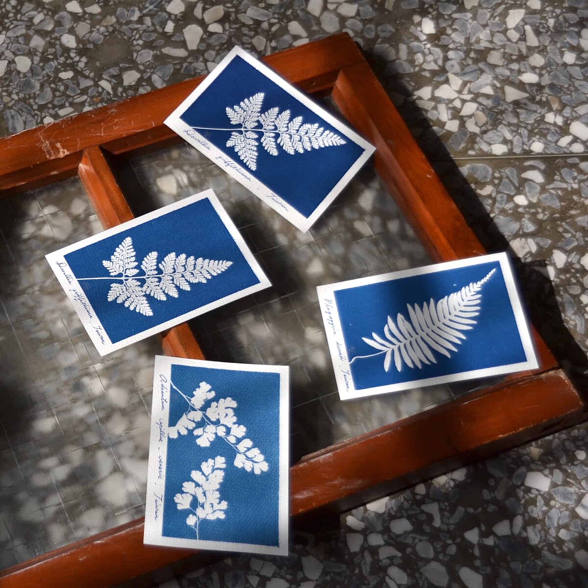 11/19 花芽兒 光影藍曬卡片工作坊 / &copy;Pop Up Asia