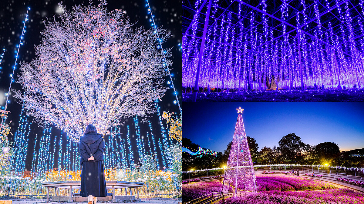 日本第一！足利花卉公園冬季燈光秀「光之花庭園」登場，500萬顆燈泡及夢幻紫藤花海美到屏息