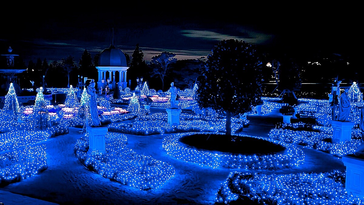 台版「汐留燈海」彷彿置身銀河！百坪花園變身星光奇景，88天雪花紛飛、落羽松秘境必須朝聖