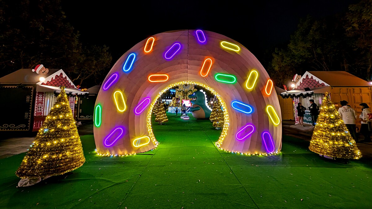 相機的「夜視」功能表現