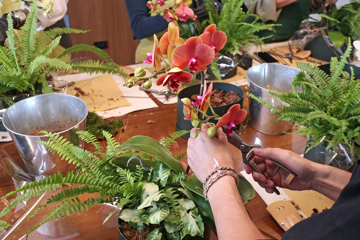 品牌提出「自主習花」的全新概念與服務。