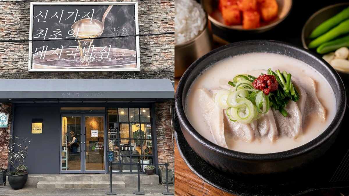 【Julia韓國觀察筆記】天冷就想喝熱湯，來碗豬肉湯飯暖暖胃！釜山5大必吃豬肉湯飯介紹