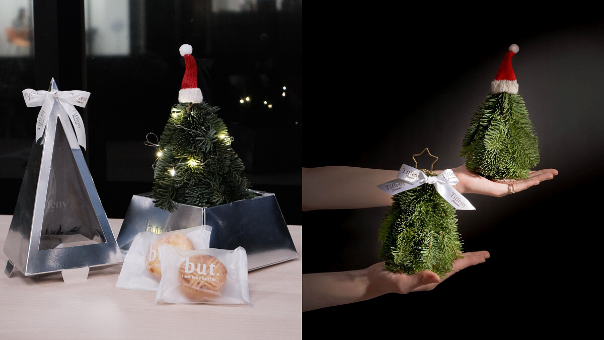 迷你版諾貝松聖誕樹太想收！Tiffeny Flower攜手but. we love butter推聯名禮盒