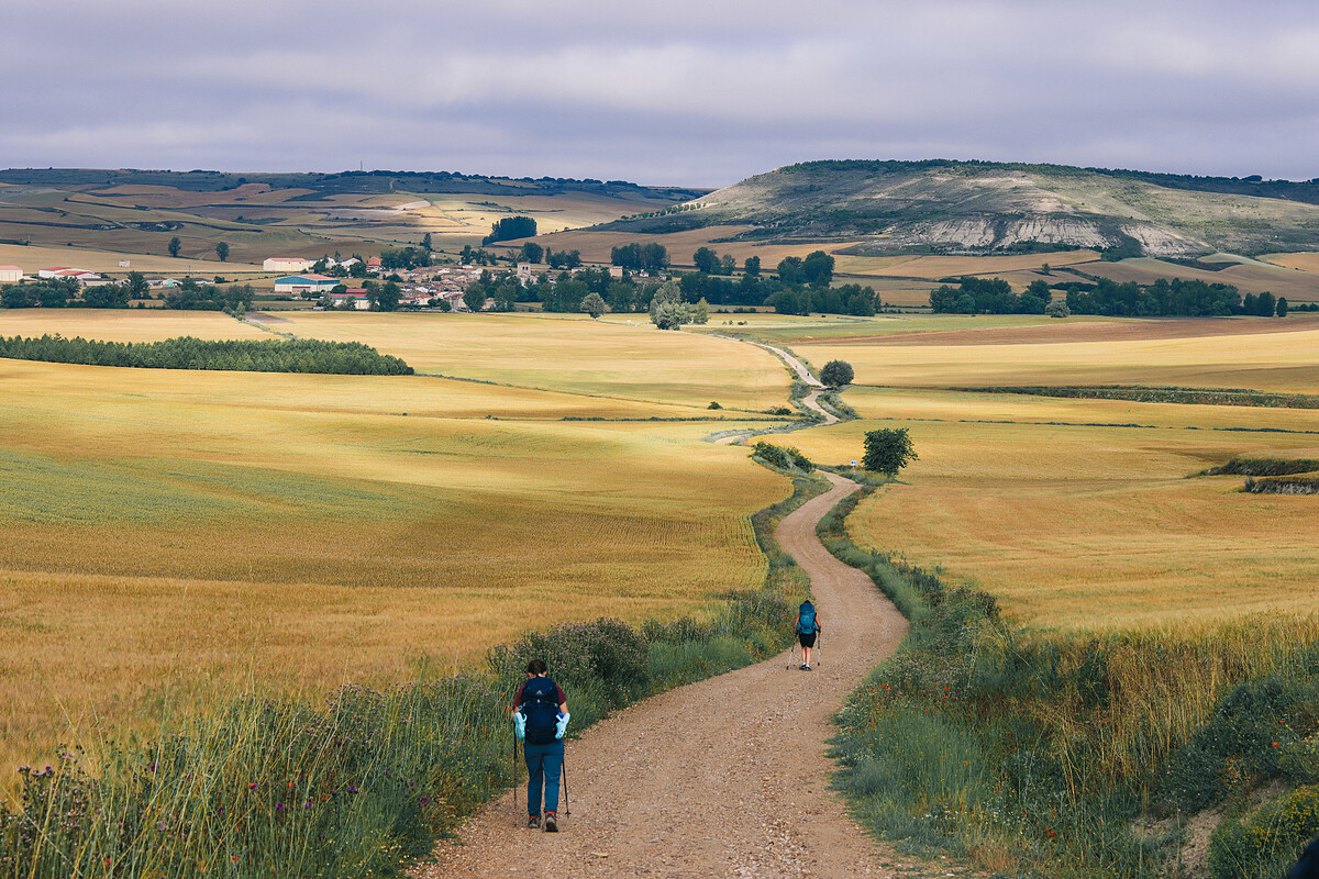  攝影／戴鈺珊（@cyndi.foto）