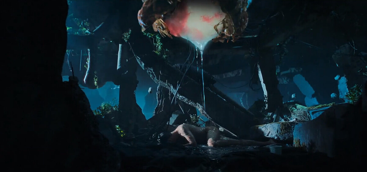 魔繭破裂掉下一具活體成人