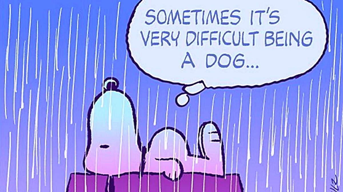 史努比教會我們的15條人生哲理：無論是陰或晴，內心的天氣都在於你！