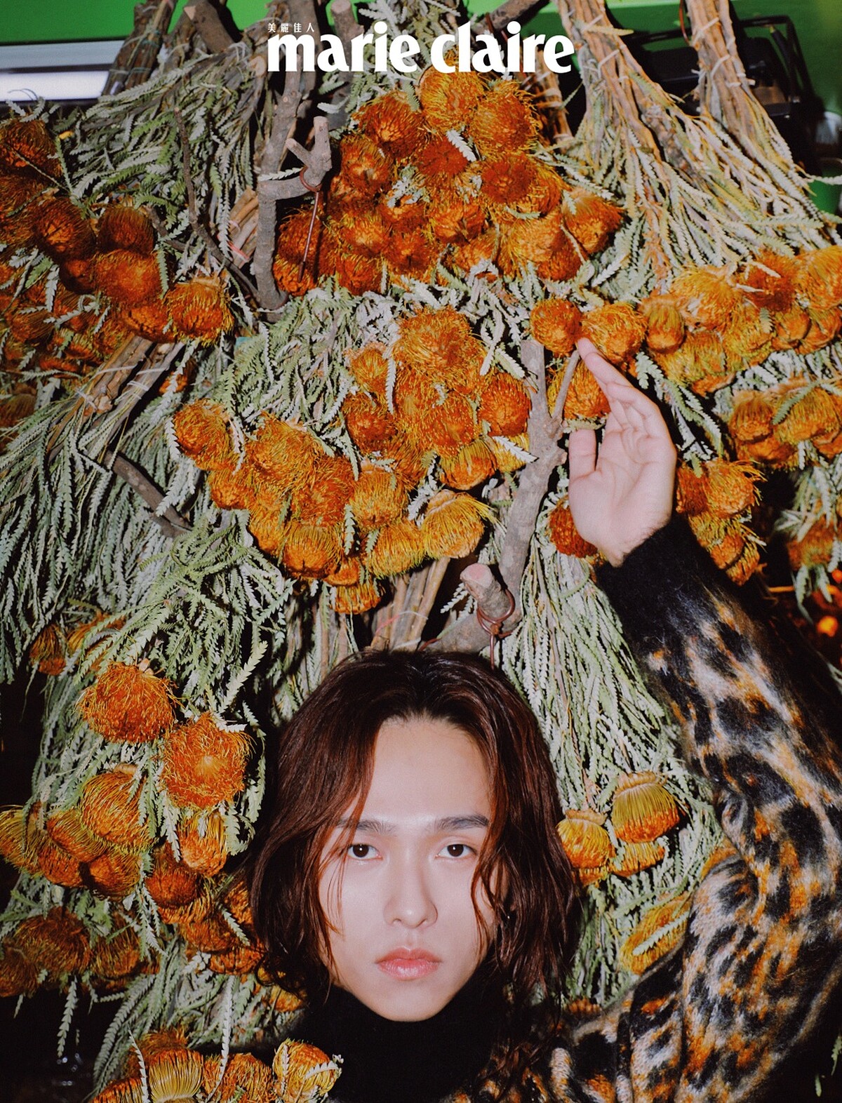 豹紋毛衣 ， Rabanne x H&M。