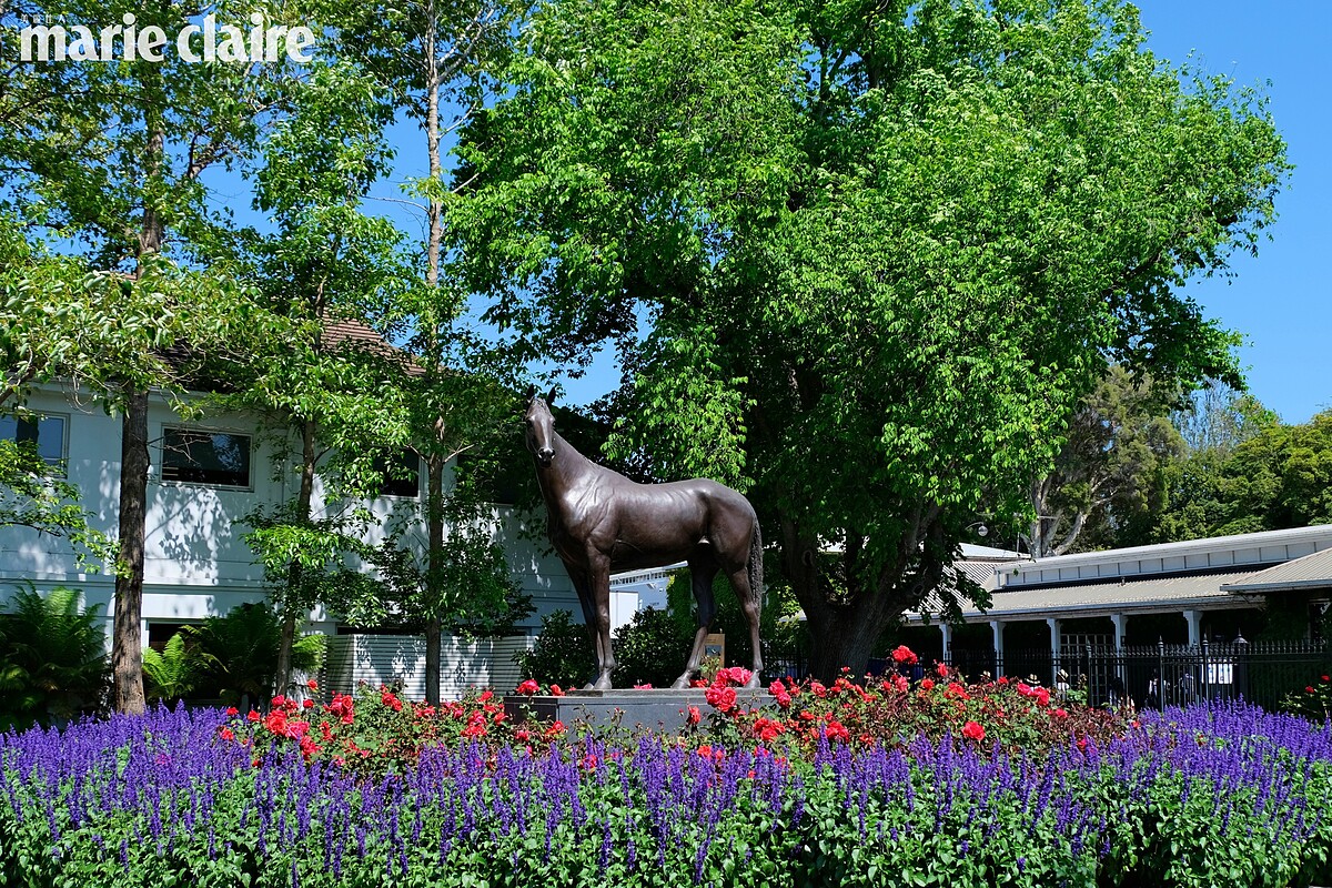 為紀念一生出賽過51次，並獲得37次冠軍，澳洲最著名的國寶賽駒快如閃電的 Phar Lap 而特製銅像於賽馬場，供馬迷景仰懷念。