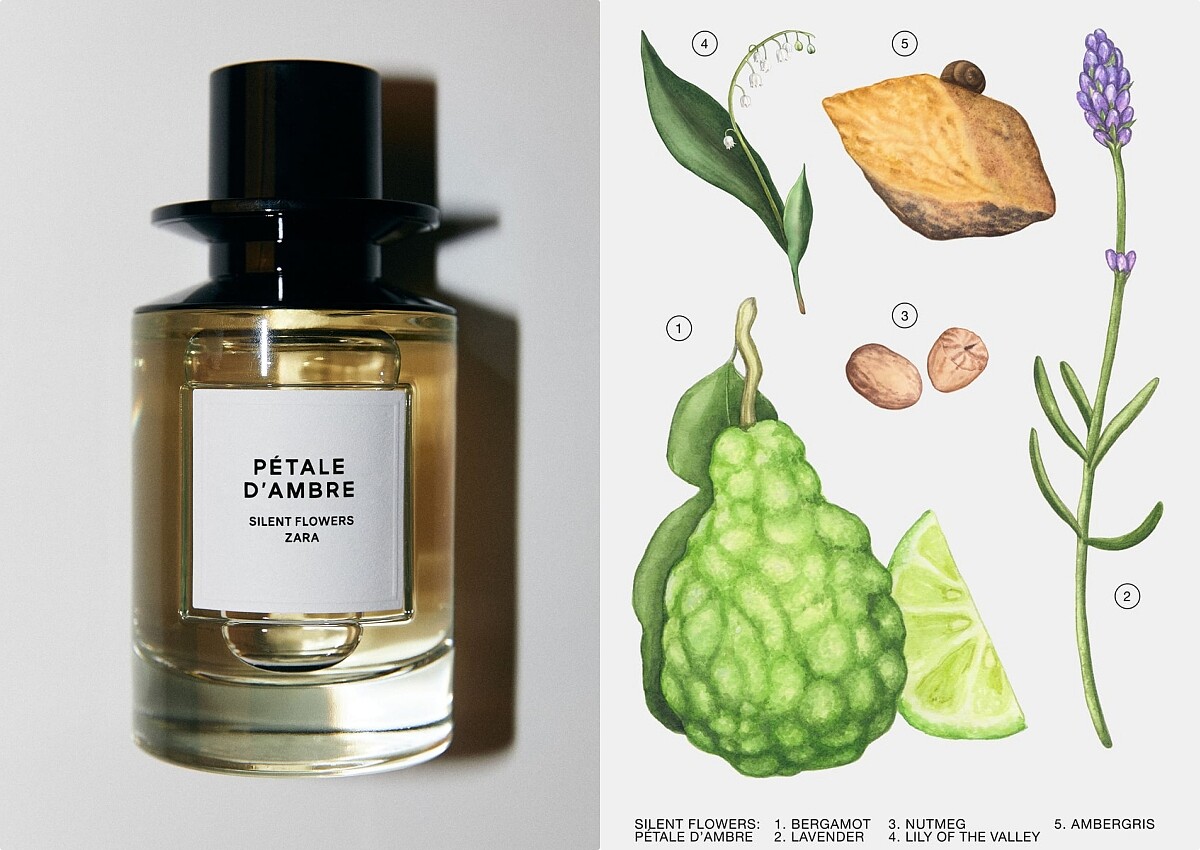 ZARA X Jo Love Silent Flower系列香水- P&Eacute;TALE D&rsquo;AMBRE琥珀之花100ml，NT1,490