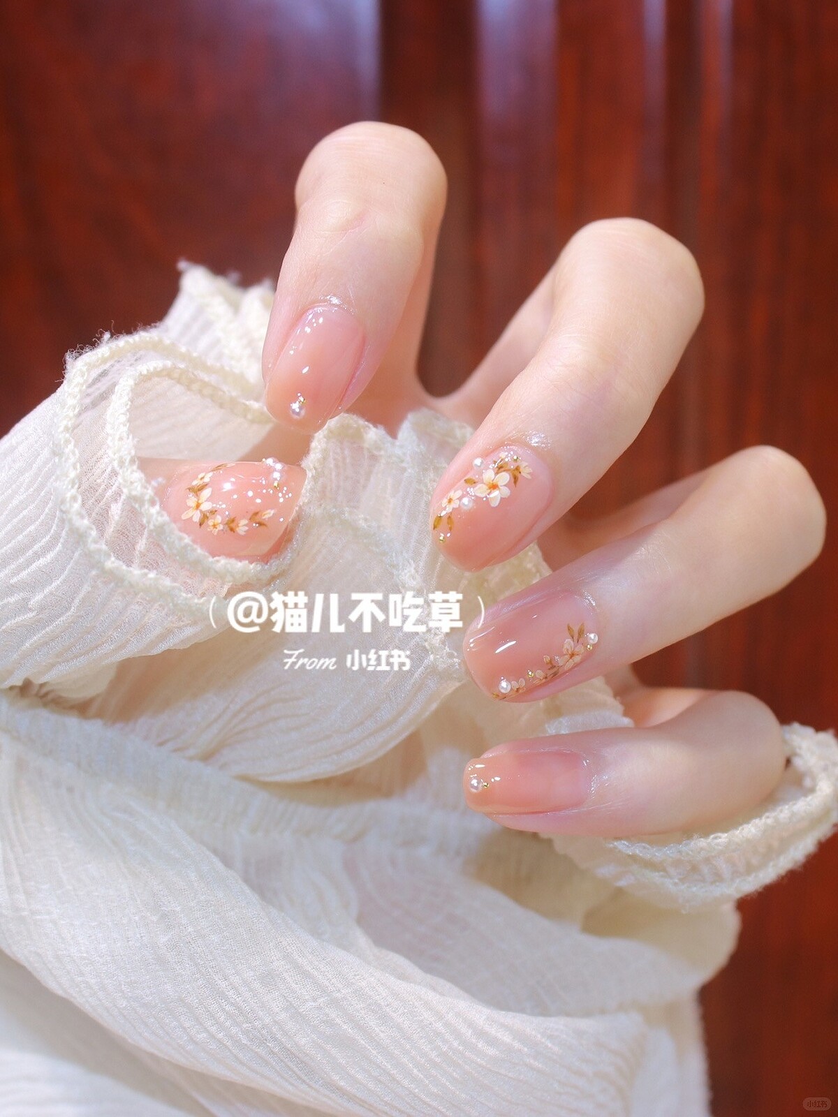 圖／小紅書號：533270224